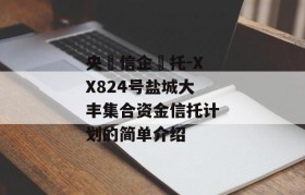 央‮信企‬托-XX824号盐城大丰集合资金信托计划的简单介绍