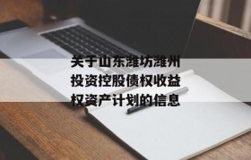 关于山东潍坊潍州投资控股债权收益权资产计划的信息