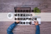 重庆市武隆区隆江城市建设2023年债权资产转让项目的简单介绍