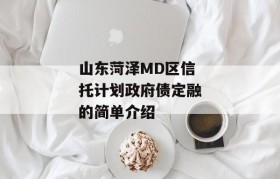 山东菏泽MD区信托计划政府债定融的简单介绍