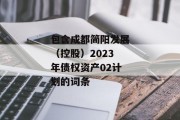 包含成都简阳发展（控股）2023年债权资产02计划的词条