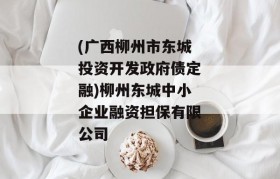 (广西柳州市东城投资开发政府债定融)柳州东城中小企业融资担保有限公司