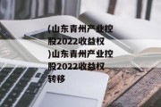 (山东青州产业控股2022收益权)山东青州产业控股2022收益权转移