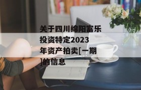 关于四川绵阳富乐投资特定2023年资产拍卖[一期]的信息