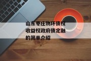 山东枣庄物环债权收益权政府债定融的简单介绍