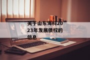 关于山东海科2023年发展债权的信息