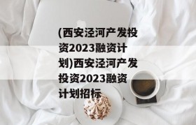 (西安泾河产发投资2023融资计划)西安泾河产发投资2023融资计划招标