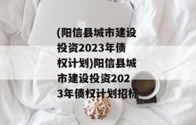 (阳信县城市建设投资2023年债权计划)阳信县城市建设投资2023年债权计划招标