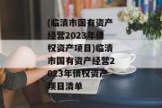 (临清市国有资产经营2023年债权资产项目)临清市国有资产经营2023年债权资产项目清单