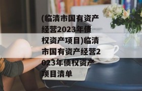 (临清市国有资产经营2023年债权资产项目)临清市国有资产经营2023年债权资产项目清单