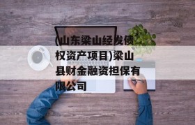 (山东梁山经发债权资产项目)梁山县财金融资担保有限公司