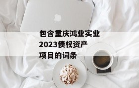 包含重庆鸿业实业2023债权资产项目的词条