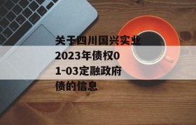 关于四川国兴实业2023年债权01-03定融政府债的信息