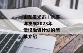 山东寿光市昇景海洋发展2023年债权融资计划的简单介绍