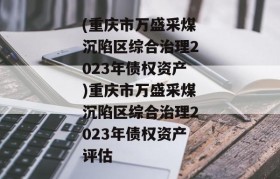 (重庆市万盛采煤沉陷区综合治理2023年债权资产)重庆市万盛采煤沉陷区综合治理2023年债权资产评估