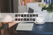 遂宁富源实业债权项目的简单介绍