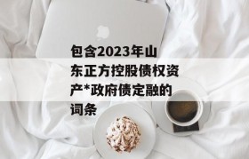 包含2023年山东正方控股债权资产*政府债定融的词条