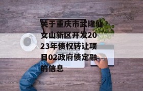 关于重庆市武隆仙女山新区开发2023年债权转让项目02政府债定融的信息