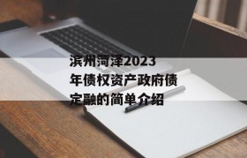 滨州菏泽2023年债权资产政府债定融的简单介绍