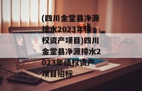 (四川金堂县净源排水2023年债权资产项目)四川金堂县净源排水2023年债权资产项目招标