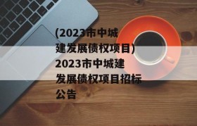 (2023市中城建发展债权项目)2023市中城建发展债权项目招标公告