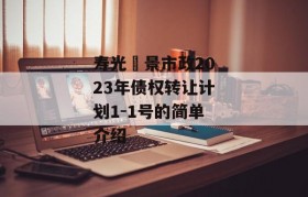 寿光昇景市政2023年债权转让计划1-1号的简单介绍