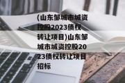 (山东邹城市城资控股2023债权转让项目)山东邹城市城资控股2023债权转让项目招标