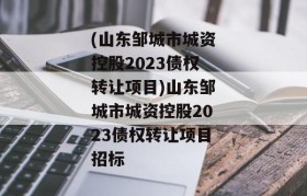 (山东邹城市城资控股2023债权转让项目)山东邹城市城资控股2023债权转让项目招标