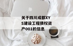 关于四川成都XYS建设工程债权资产001的信息