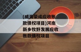 (威海荣成应收账款债权项目)河南新乡牧野发展应收账款债权项目