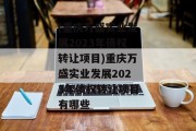 (重庆万盛实业发展2023年债权转让项目)重庆万盛实业发展2023年债权转让项目有哪些