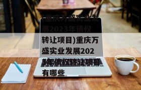 (重庆万盛实业发展2023年债权转让项目)重庆万盛实业发展2023年债权转让项目有哪些