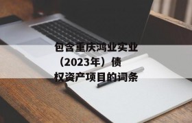 包含重庆鸿业实业（2023年）债权资产项目的词条