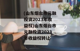 (山东烟台市元融投资2023年收益权)山东烟台市元融投资2023年收益权转让