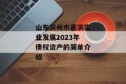 山东滨州市惠滨实业发展2023年债权资产的简单介绍