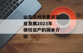 山东滨州市惠滨实业发展2023年债权资产的简单介绍
