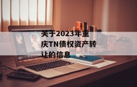 关于2023年重庆TN债权资产转让的信息