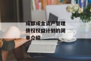 成都成金资产管理债权权益计划的简单介绍