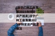 (遂宁广利工业发展2023年特定资产拍卖)遂宁广利工业发展2023年特定资产拍卖情况