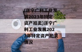 (遂宁广利工业发展2023年特定资产拍卖)遂宁广利工业发展2023年特定资产拍卖情况