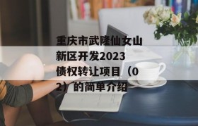 重庆市武隆仙女山新区开发2023债权转让项目（02）的简单介绍