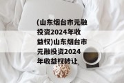 (山东烟台市元融投资2024年收益权)山东烟台市元融投资2024年收益权转让