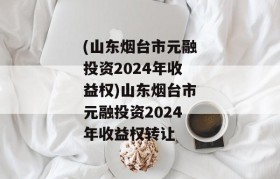 (山东烟台市元融投资2024年收益权)山东烟台市元融投资2024年收益权转让