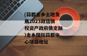 (蒜都金乡土地发展2023政信债权资产政府债定融)金乡国际蒜都中心项目地址