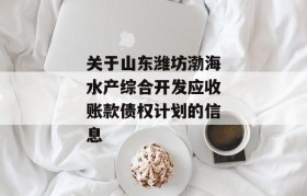 关于山东潍坊渤海水产综合开发应收账款债权计划的信息