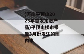 (河南平顶山2023年首发定融产品)平顶山楼市报告3月份发生的圈内事