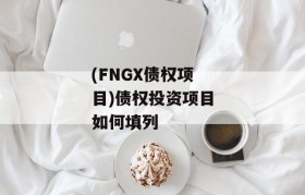 (FNGX债权项目)债权投资项目如何填列