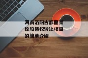 河南洛阳古都丽景控股债权转让项目的简单介绍