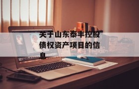 关于山东泰丰控股债权资产项目的信息