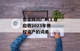 包含四川广利工业应收2023年债权资产的词条